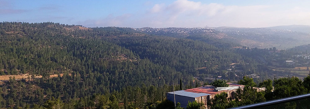Ein Kerem Hotel Иерусалим Экстерьер фото